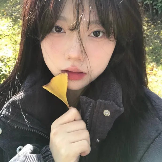 不得不爱第二季